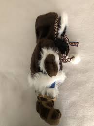 Alaskan Friends Genuine Native Style Doll 14" 02275 Eskimo Girl NWT | eBay