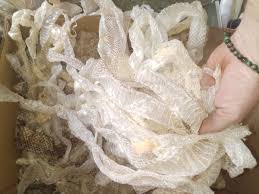 Snake skin shed complete sheds molts Buy 2 Get 1 Free Plus ...