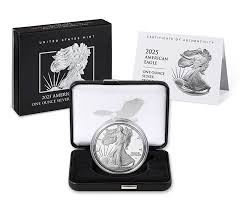 American Eagle 2025 One Ounce Silver Proof Coin (W) | US Mint