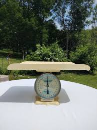 American Family 30 LB Nursery Scale, yellow | eBay