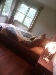 Donna Sharp Cabin Raising Pine Cone Quilt Collection at Tractor Supply Co