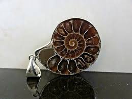 Awesome STERLING SILVER AMMONITE REAL FOSSIL ...
