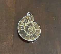 Real Ammonite Fossil Shell Pendant Natural Polished Stone | eBay