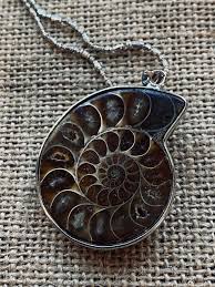 Natural Ammonite Fossil Pendant: Sterling Silver Gemstone ...