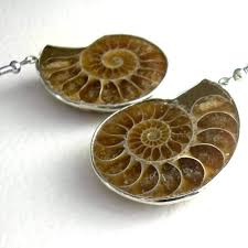 Large Ammonite Earrings, Fossil Nautilus Jewelry — CindyLouWho2