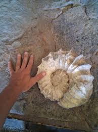 What is thus rock : r/whatsthisrock