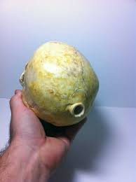 Aztec Death Whistle - the Human Skull - You Won't Believe ...