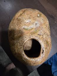 Reptile hides Thrive | Mercari