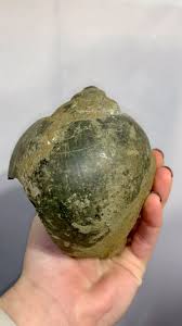 Wait for it.. Giant Snail Fossil with Green Ludlamite inside ...