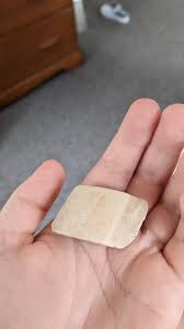 found in the surf in long island sound - is this a bone or just ...