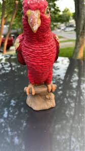 Penpal correspondence with a critter from another country