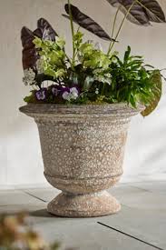 Barnacle Aeros Urn | AnthroHome