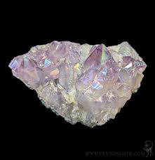 Angel Aura Amethyst Crystal Cluster For Sale | Paxton Gate