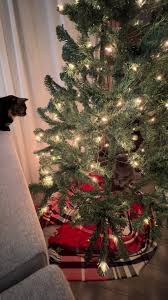 Testing out a full size christmas tree with Maggie and Suki ...