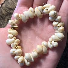 Jewelry | Vintage Off White Tiny Conch Shell Bracelet | Poshmark