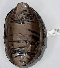 One Of A Kind Vintage Ceramic Keepsake Box | eBay