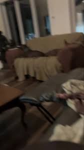 Xoloitzcuintle Xolo Ranch on Reels | Facebook