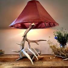 Real Antler Lamp | eBay