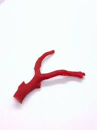 Red Coral Rough Branch-100%Natural Untreated Red Italian ...