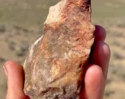 Medium Druzy Agate Opal Petrified Wood Crystal Beautiful ...