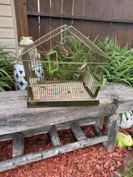 Deco Bird Cage | eBay