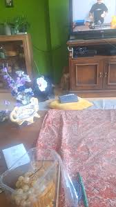 How to simmer down territorial behavior? : r/felinebehavior