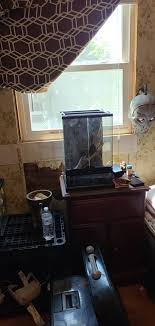 Temporary enclosure for baby crested gecko?