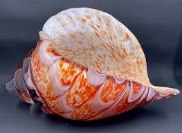 Dynasty Gallery By the Bay Seashell Ocean Art Glass Conch ...
