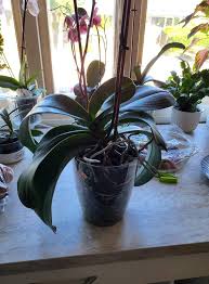 What is this? | Facebook