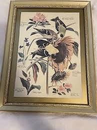 Lot of 3: Arthur B. Singer Signed Bird Illustrations | eBay