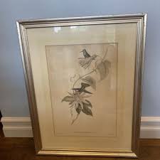 Antique Gould & Richter Print Walter & Cohn Hummingbirds ...