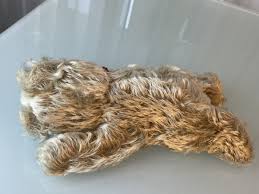 Hermann Teddy Bear 8 5/16x5 1/2in Condition See Photos | eBay