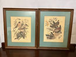 Signed Arthur Singer Naturalist And Painter Of Birds Framed ...