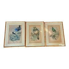 Three Hand Colored J Gould Bird Prints | Chairish