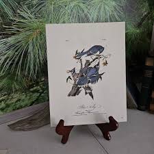 OldFangledFinds - Etsy Polska