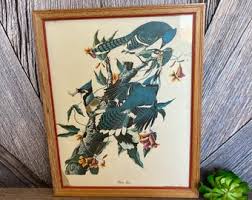 Vintage Blue Jay Print, Bird Drawing Print Picture {vintage Decor Gift for Friend} Wall Artwork Framed 15 X 12 Bird Print - Etsy