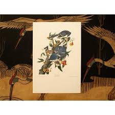 1990s Blue Jay After Audubon, Large American Classical Print | Chairish