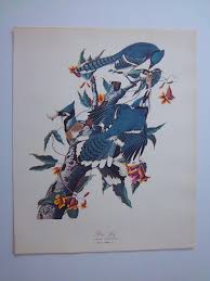 Vintage Audubon Prints 1964 - Etsy