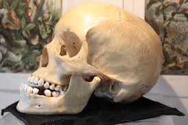 Trelawneys Antiques | eBay Stores