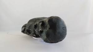 KHAMPA 3D Raccoon Archery Target Tree-Climbing Self-Healing ...