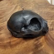 Black Kitten Skull Beeswax Candle - Etsy