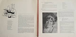 Various - Hudba Černého Lidu DV 15134/8 2 LP Compilation | BLACK VINYL BAZAR Brno