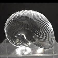 Baccarat Crystal Nautilus Shell Medium - 4" Paperweight ...