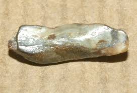 Ptyctodus -Tooth of placoderm (Devonian armoured fish ...