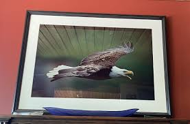 Art Wolfe Original Photography-Signed -Matted -Framed | eBay