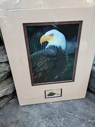 Vintage Bald Eagle Photograph & 1970 Stamp - Matted Art Print - Etsy