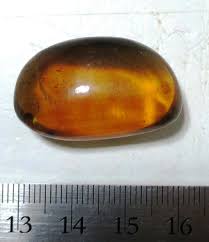 Nice 4.5 gram fossil amber - Dominican Republic | eBay