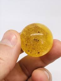 Baltic Natural Amber Bead 14.8 Grams Natural Air Bubbles and ...