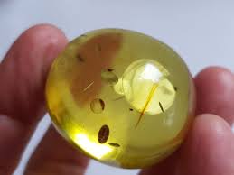 Genuine Natural Baltic Amber Stone Polished Inclusion Weight ...