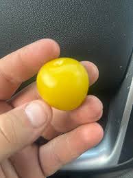 What is this fruit? : r/whatsthisplant